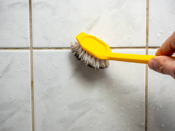 Best Mold Damage Repair  in Staic, CA