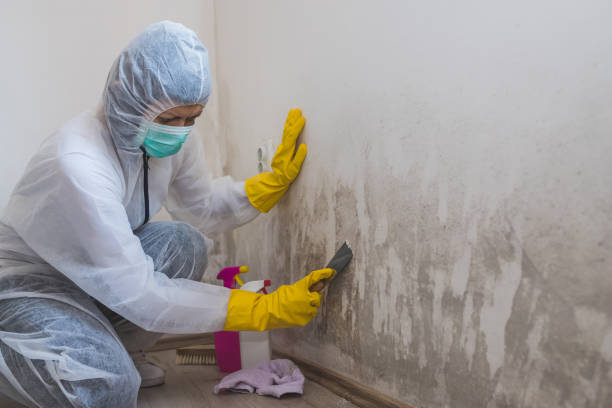 Best Water Damage Restoration  in Staic, CA