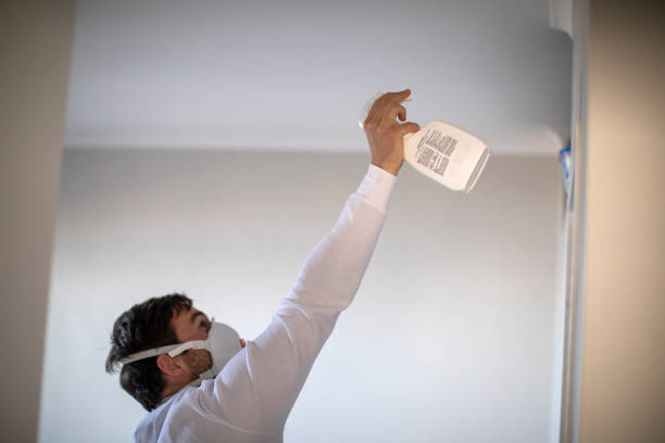 Mold Removal Process in Castaic, CA