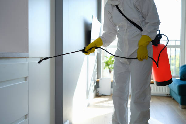 Best Office Mold Removal Services  in Staic, CA