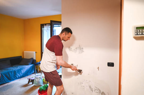 Best Toxic Mold Removal  in Staic, CA
