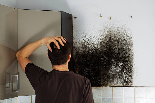 Best Residential Mold Removal  in Staic, CA
