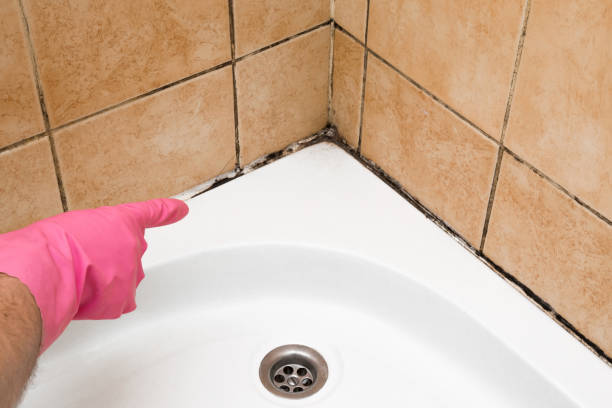 Best Mold Removal Near Me  in Staic, CA